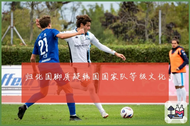 归化国脚质疑韩国国家队等级文化